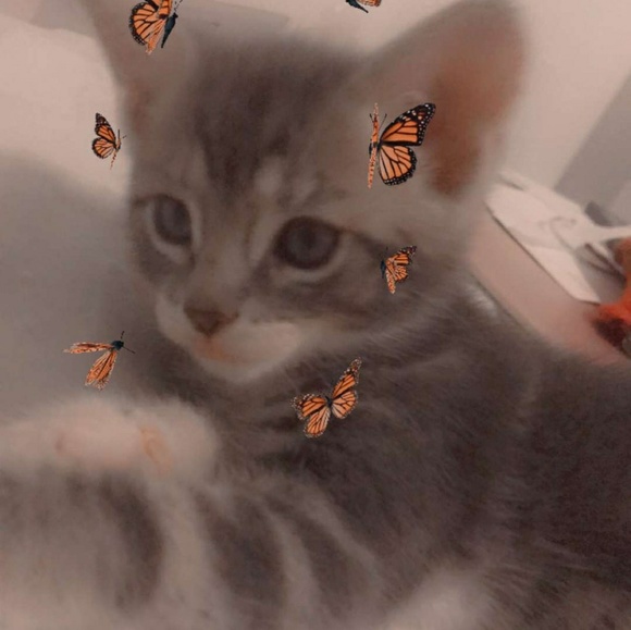 bxby_isabella